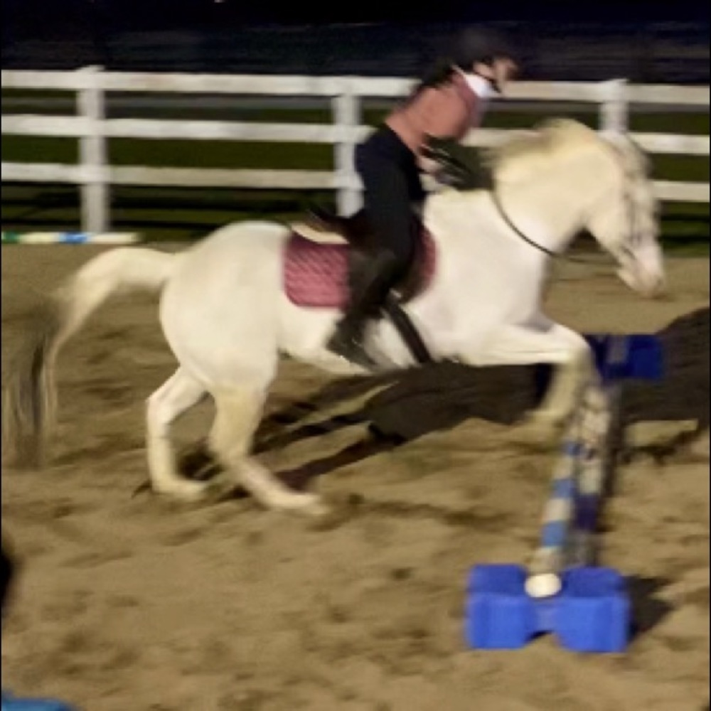 ISO Of riding clothes